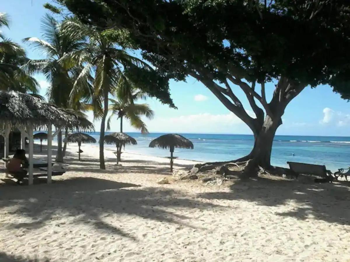 סן-פרנסואה Karibeko : Exceptionnel & Rare : Plage , Piscine, Wifi Prive מראה חיצוני תמונה